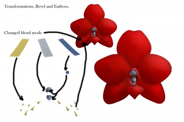 Creation of Plants: Step 2
